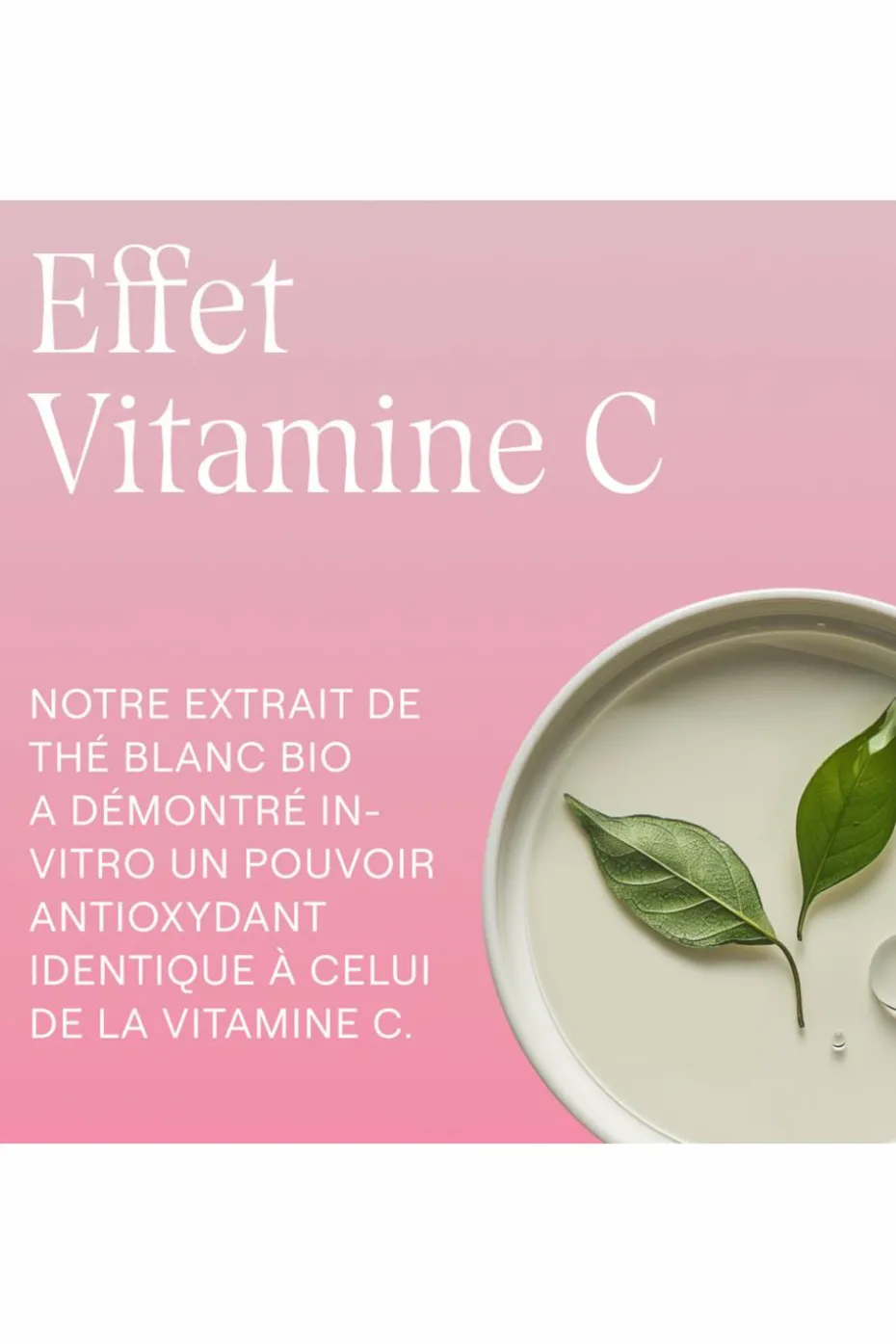 Contour des yeux lissant rose musquée & thé blanc