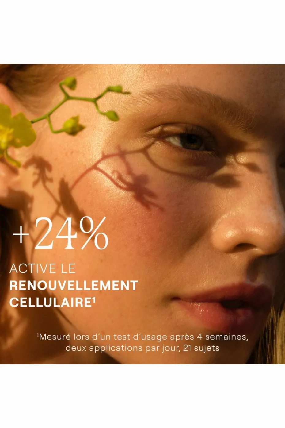 Crème de Nuit nourrissante Skin food