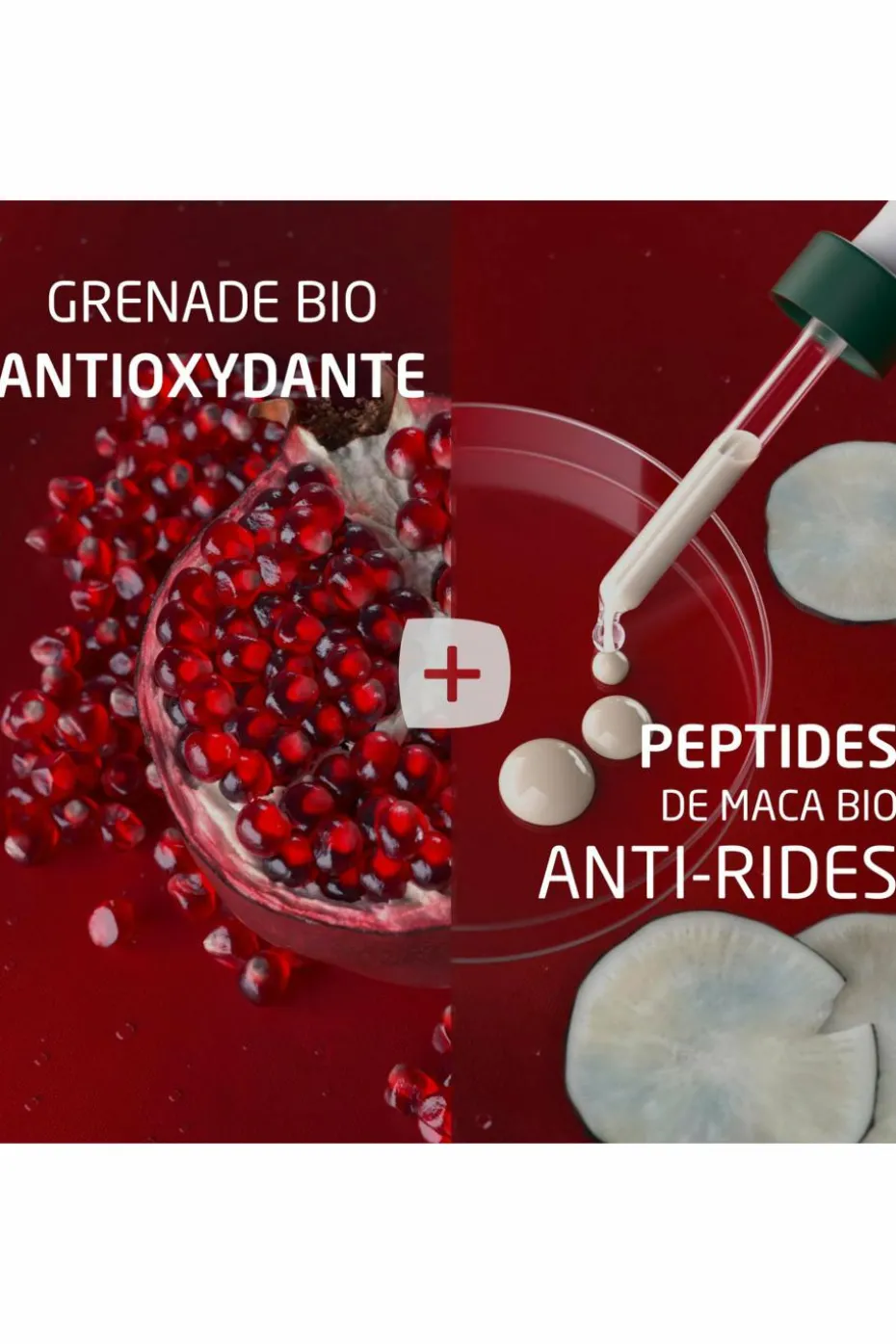 Crème de nuit raffermissante grenade et peptides de maca