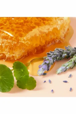 Crème mains CICA Rêve de Miel®