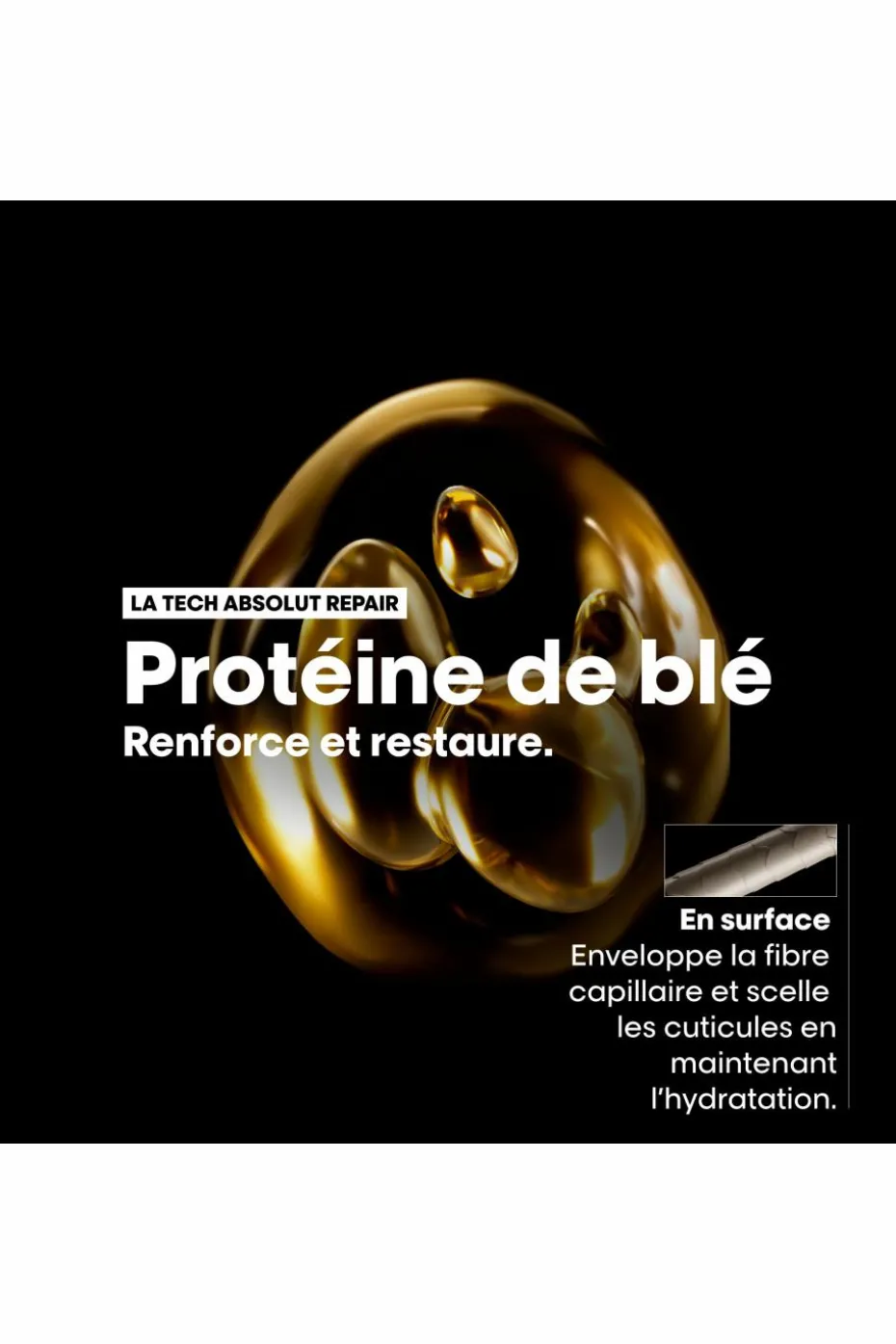Huile 10-en1 Série Expert Absolut Repair