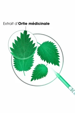 Shampoing séboréducteur à l’ortie bio pour cheveux gras