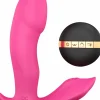 Stimulateur 3-en1 avec télécommande Secret Clit